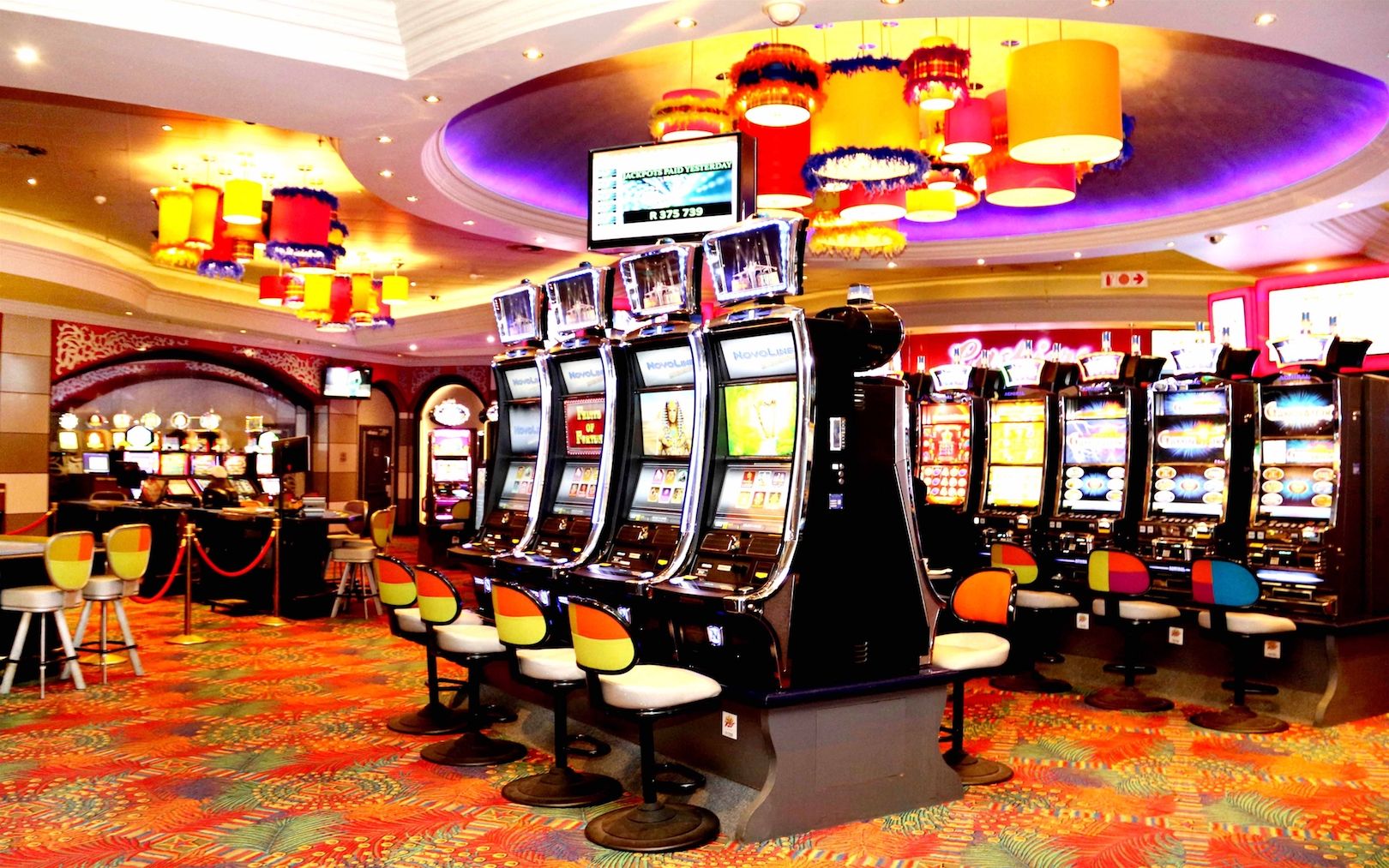 Başarıya Giden Yol: Betloto Oyuncusu Ali’nin Hikayesi