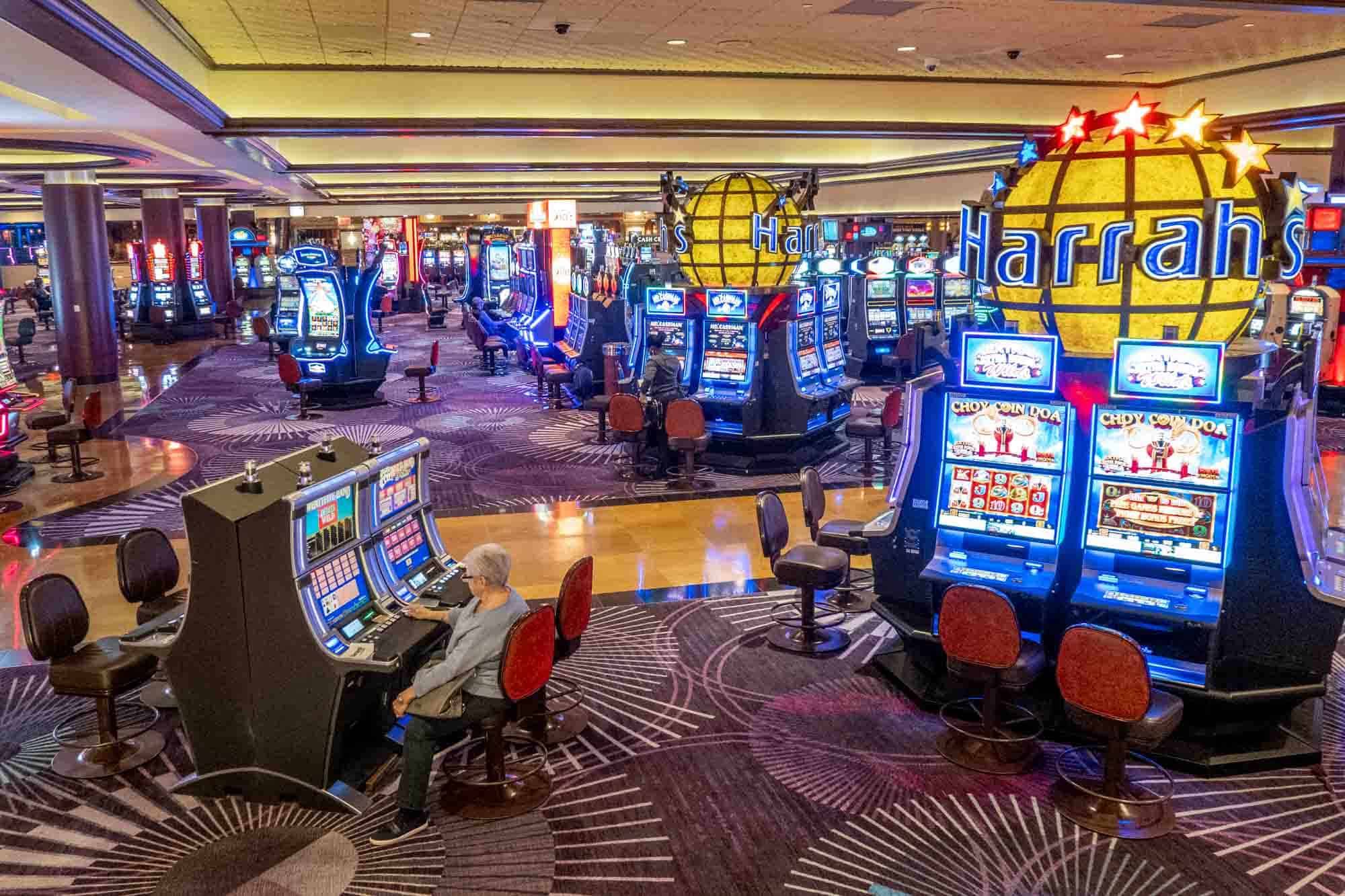 Başarıya Giden Yol: Betloto Oyuncusu Ali’nin Hikayesi